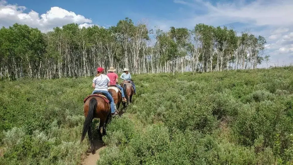 Western Lodge - photo 13