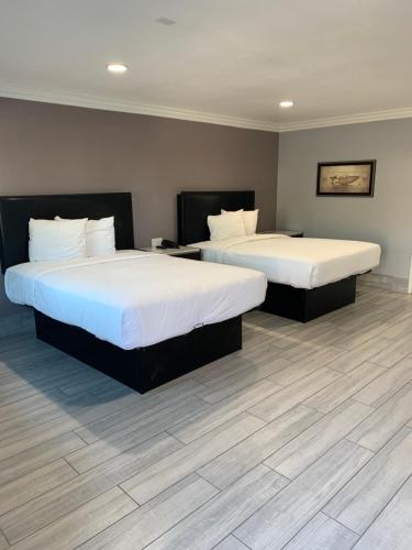 Willow Tree Inn & Suites - photo 5
