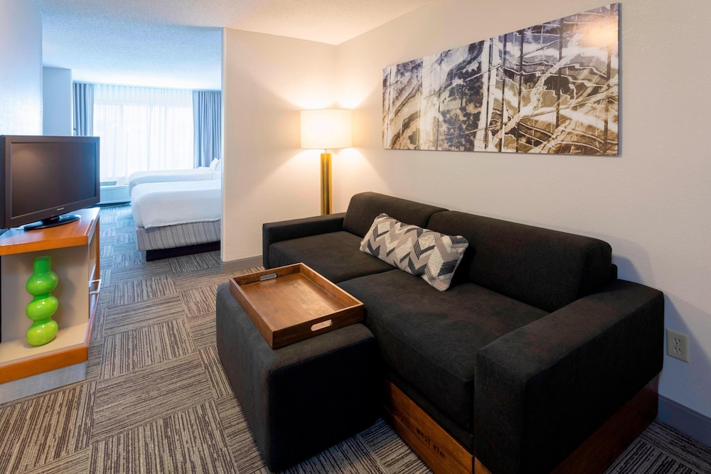 SpringHill Suites by Marriott Rochester Mayo Clinic St Marys - photo 14