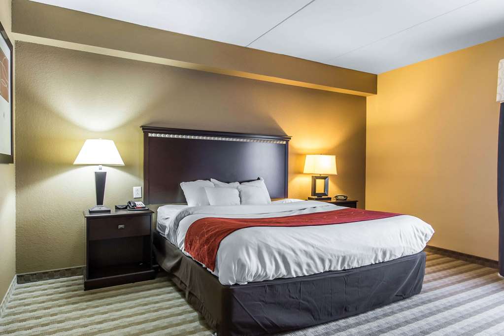 Comfort Suites Smyrna Nashville Area - photo 20