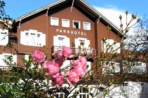 Parkhotel — Bad Ragaz — photo 3