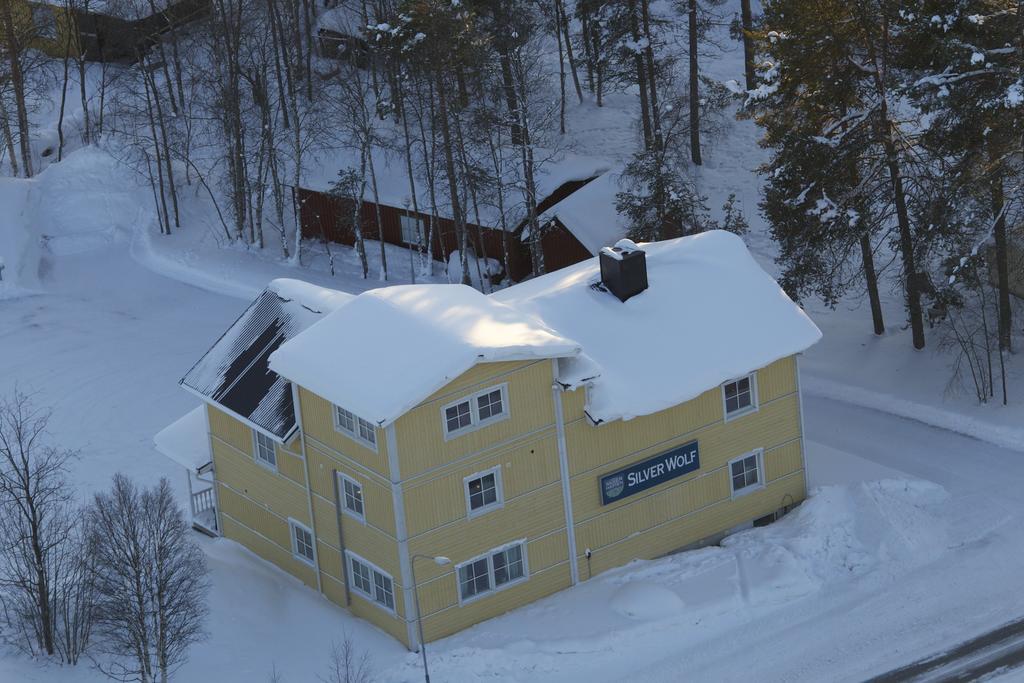 Silver Wolf — Arjeplog — photo 4