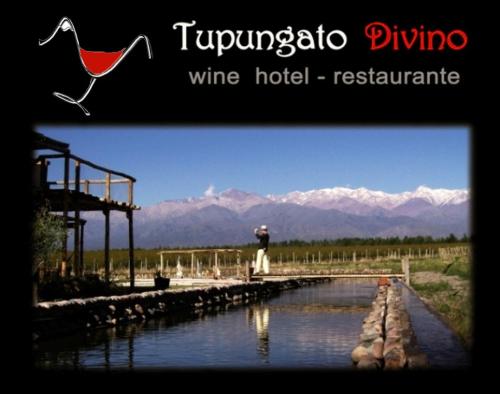 Tupungato Divino — hotel in Tupungato