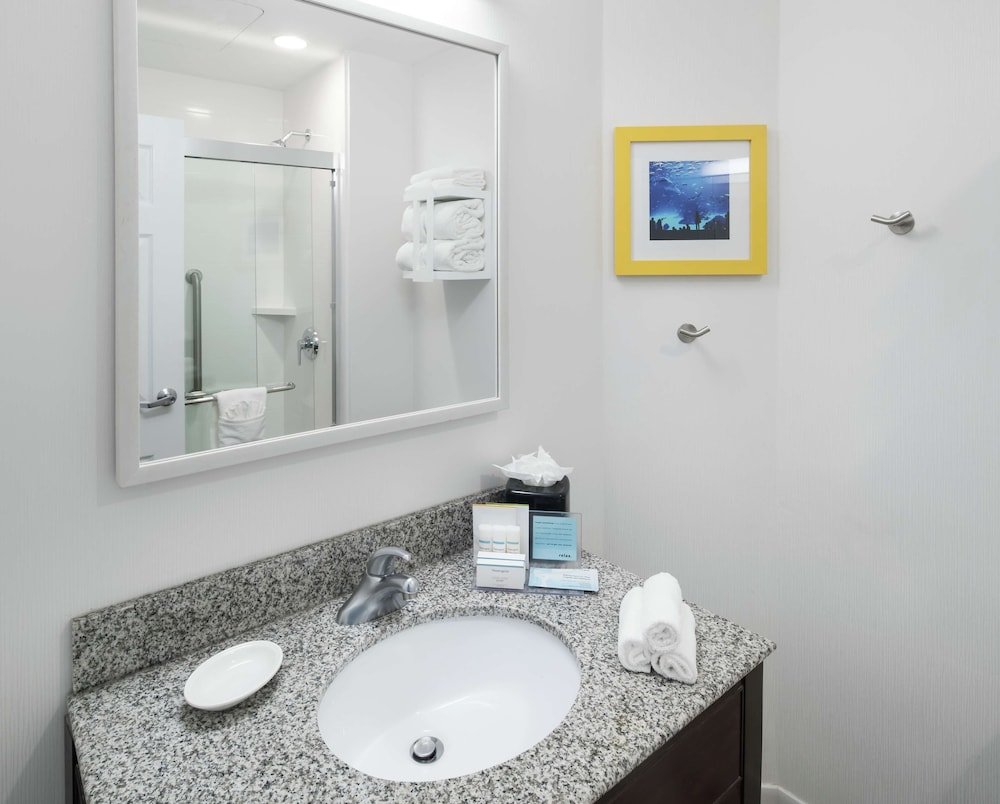 Hampton Inn & Suites Atlanta Downtown - photo 30