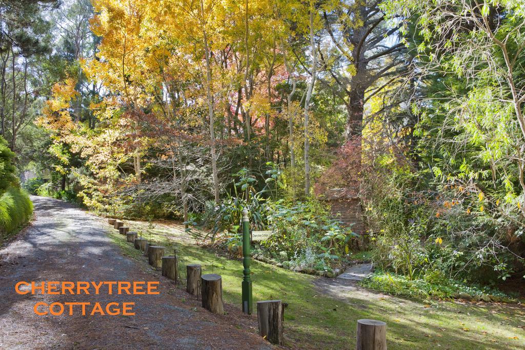 Crafers Cottages — Crafers — photo 4