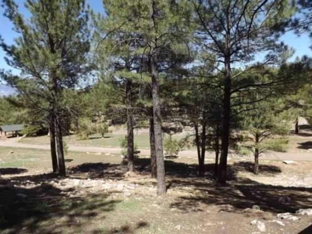 Arizona Mountain Inn and Cabins - photo 276