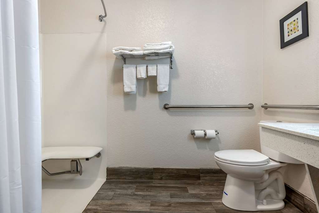 Comfort Inn & Suites Liverpool Syracuse - photo 7