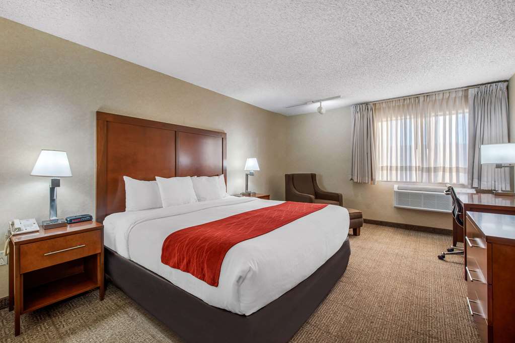 Comfort Inn Denver Southeast Area - photo 3