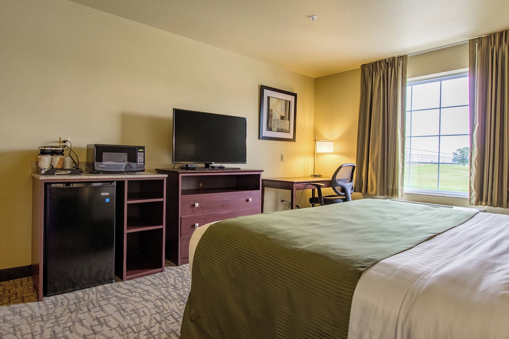 Cobblestone Hotel & Suites Orrville - photo 27