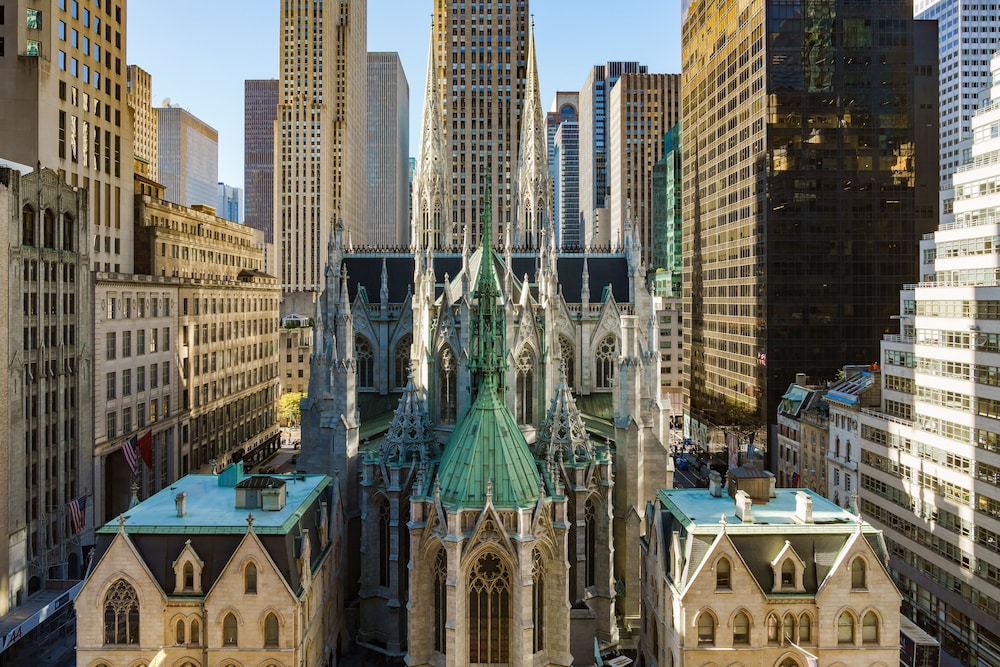 Lotte New York Palace - photo 59