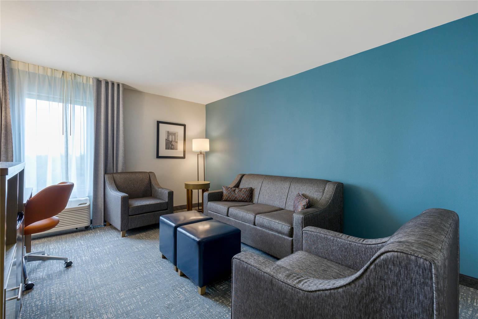 Comfort Inn & Suites Alexandria West - photo 22