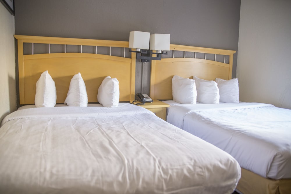 Hudson River Hotel - photo 4