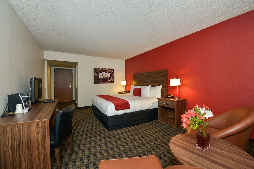 the D Las Vegas - photo 3