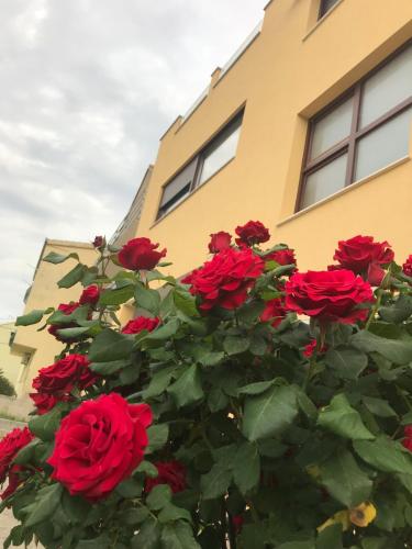 Apartman MIG — 4-Star Luxury Hotel in Solin, Croatia