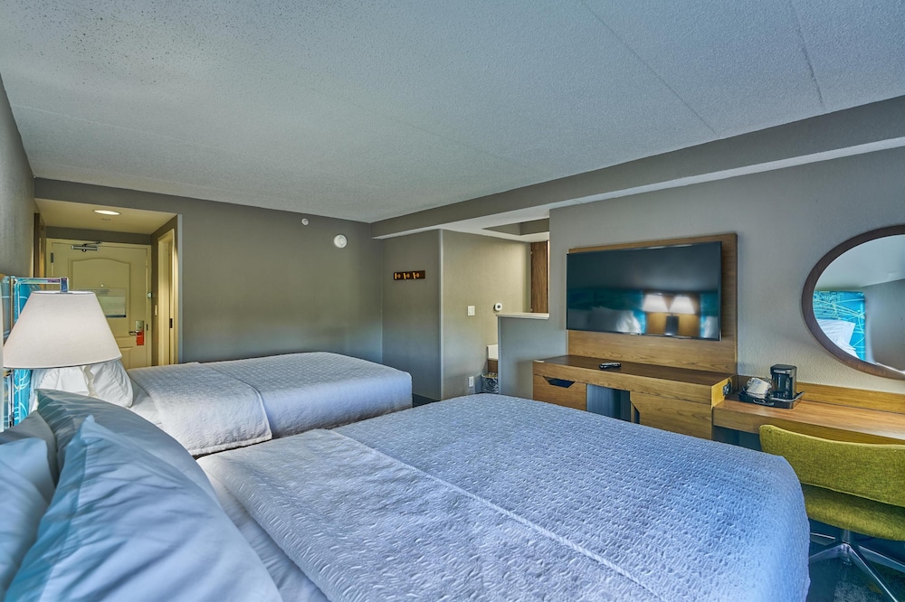 Hampton Inn Flemington - photo 7