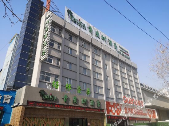 Vatica HeNan LuoYang Wangcheng Park Hotel — hotel in Luoyang