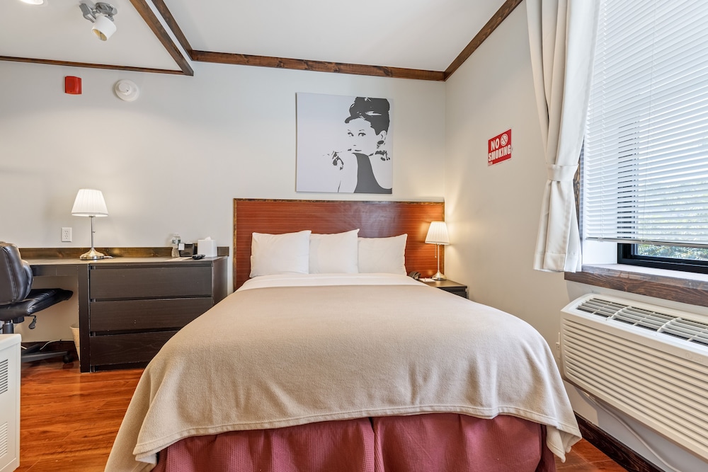Lic Hotel - photo 15