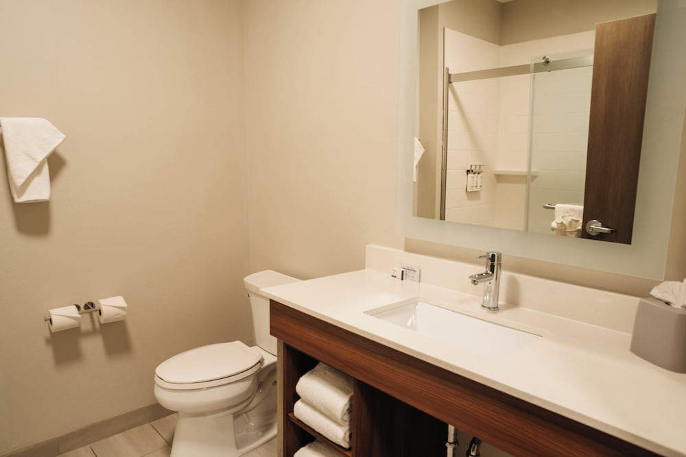 Holiday Inn Express & Suites McCalla Birmingham West by IHG - photo 40
