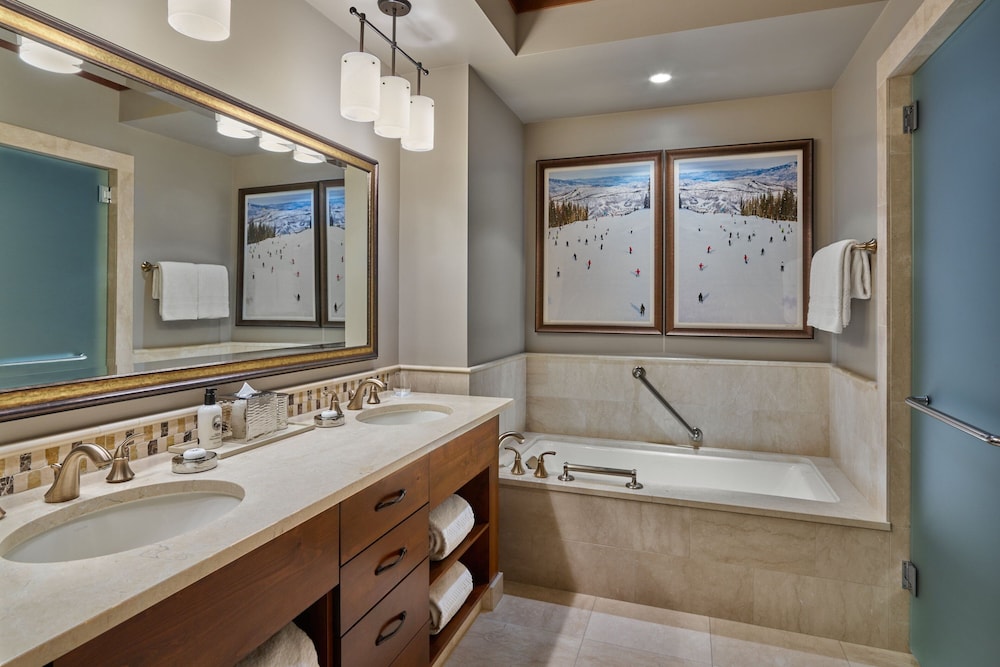 The Ritz Carlton Lake Tahoe - photo 72