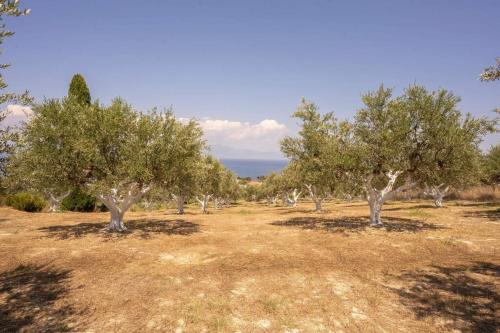 Viola’s petite paradise — Koroni — photo 5