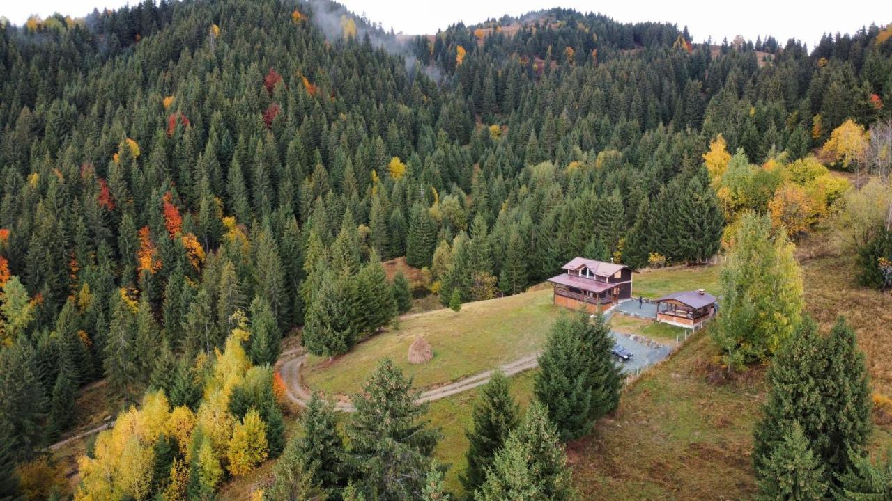 Cabana din Munți in Borsa, Romania