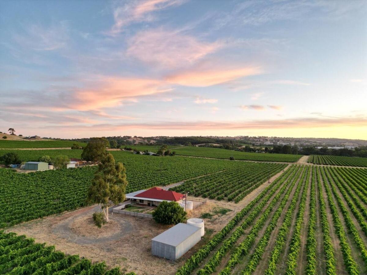Mcgill Vineyard Barossa — hotel in Angaston