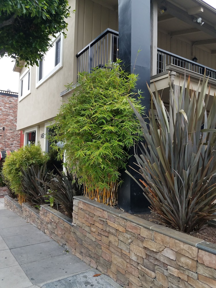 Travelodge by Wyndham San Francisco Bay - photo 14