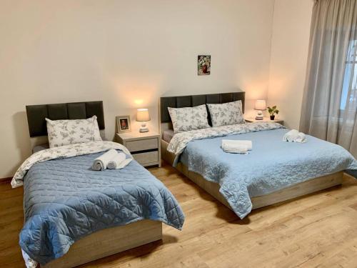 Niko Pirosmani 3 room apartment in Old Tbilisi