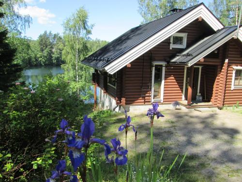 Vuorenhelmi in Joutsa, Finland