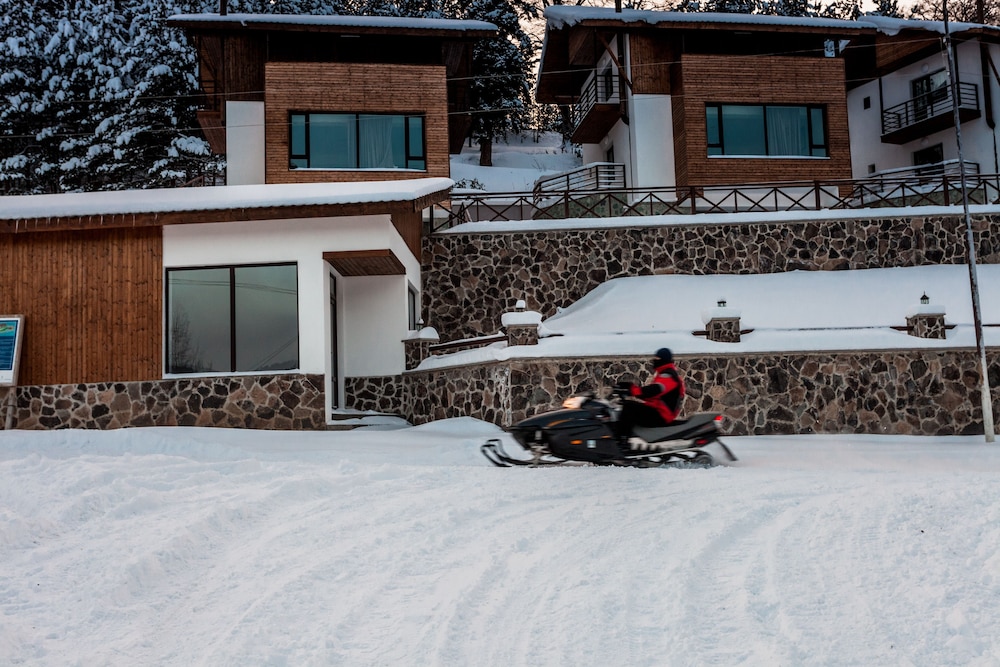 Snowmobiling