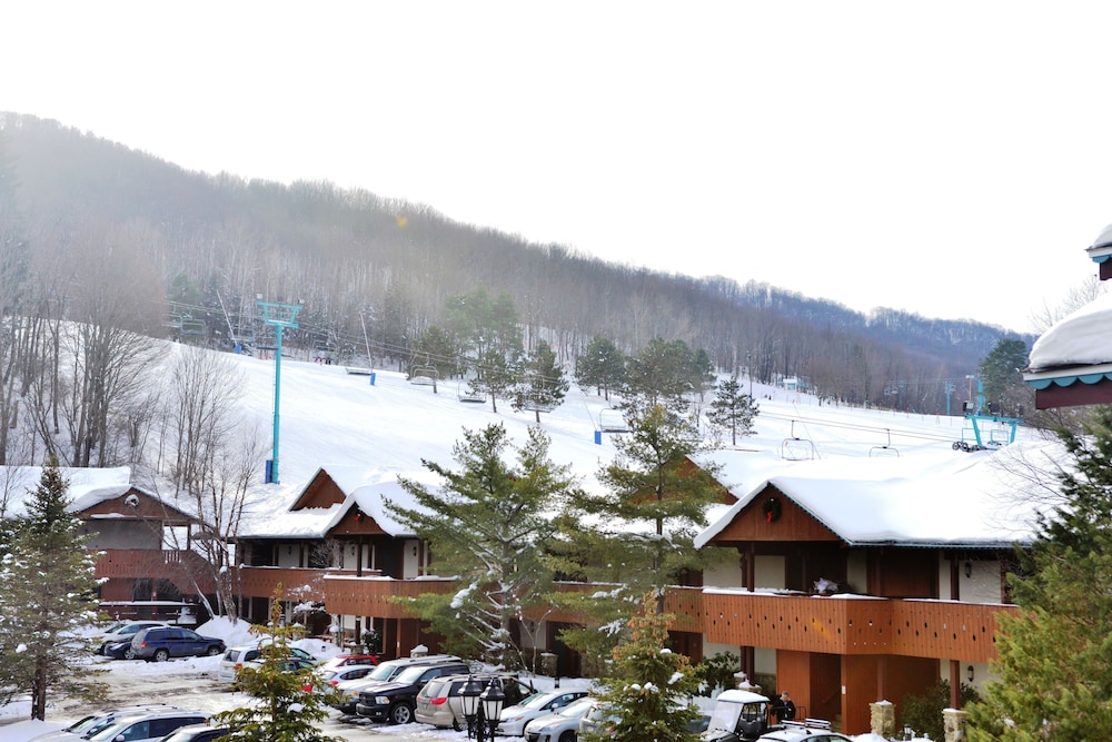 The Inn At Holiday Valley - photo 50