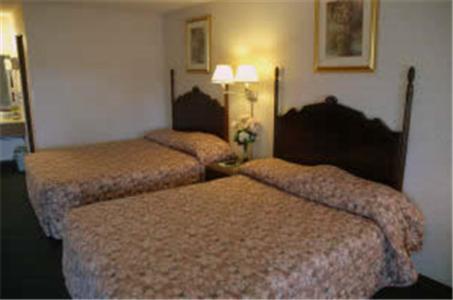 Lakeview Inn - photo 3