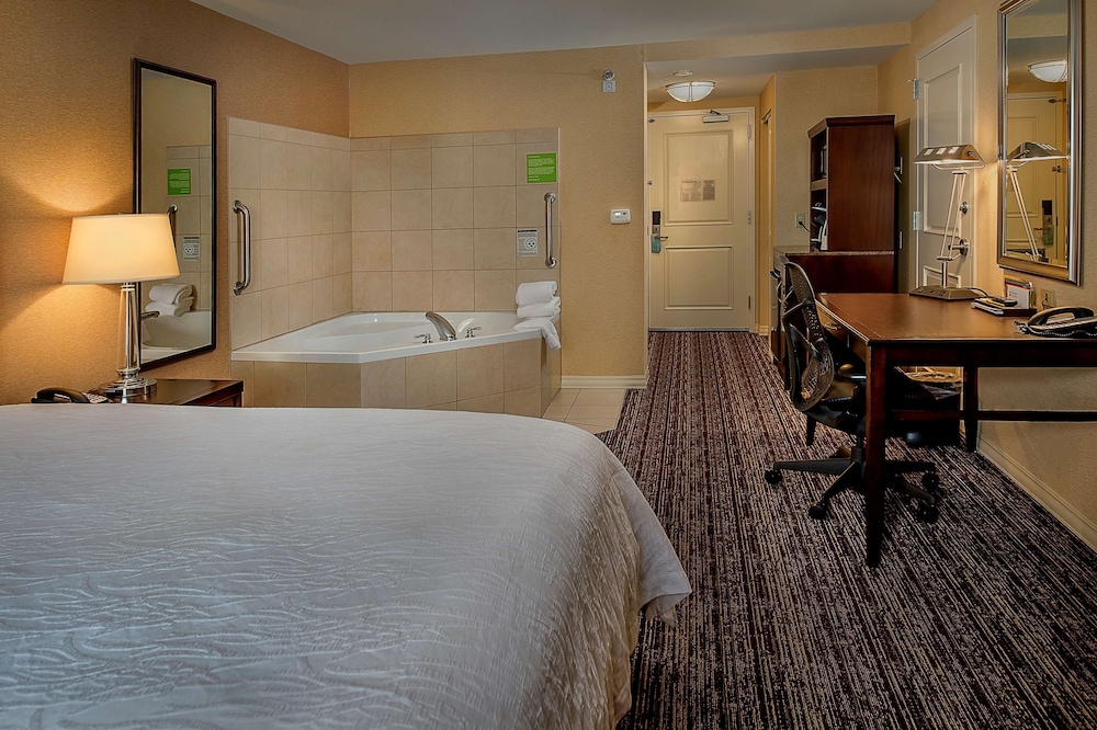 Hilton Garden Inn St. Louis Airport - photo 12