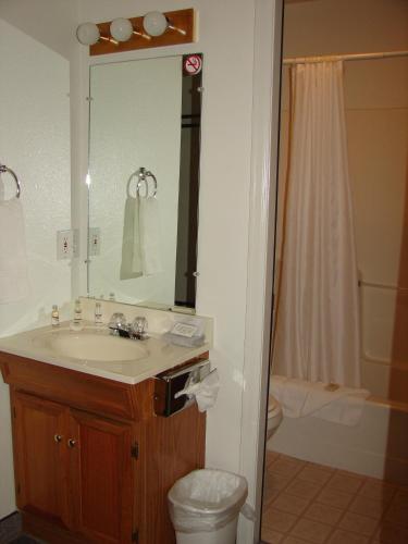 Mountain View Motor Inn LLC — hotel in Alamosa