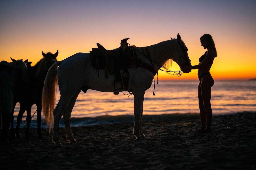 Horseback riding
