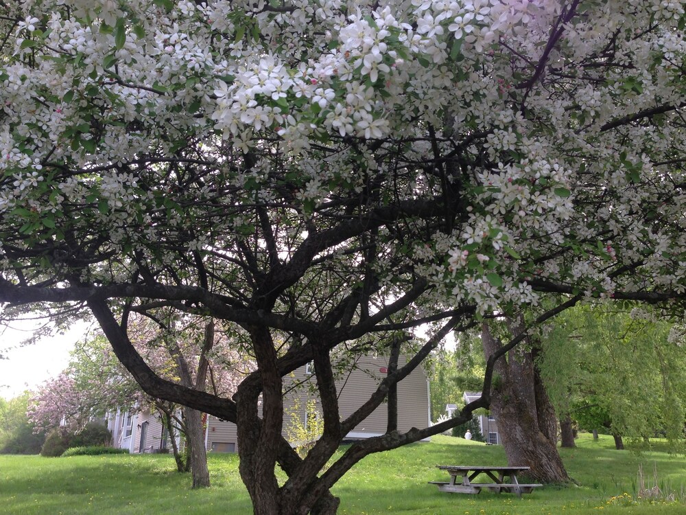 The Inn at Willow Pond - photo 18