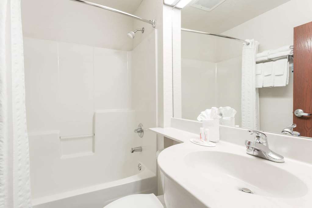 Microtel Inn & Suites by Wyndham Marianna - photo 9