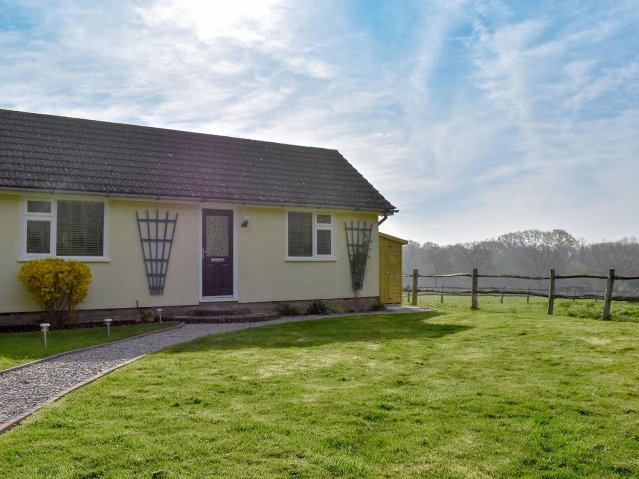 Woodpeckers in Hailsham, United Kingdom