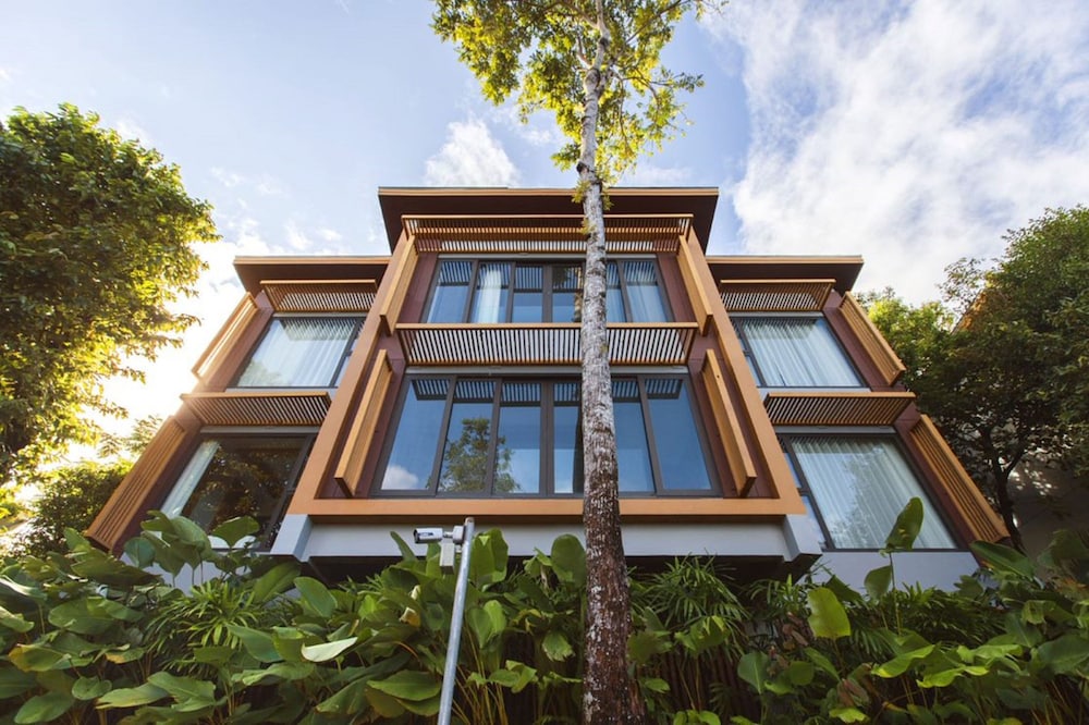 מראה חיצוני