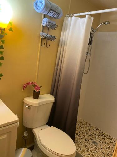 Nature Lover's Bliss — hotel in Zephyrhills