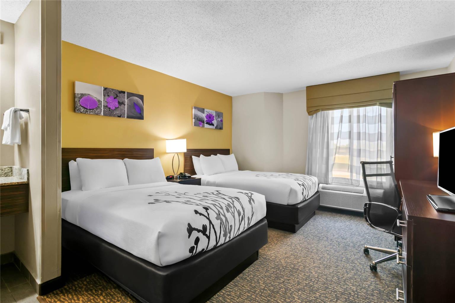 Sleep Inn Fayetteville North - photo 20