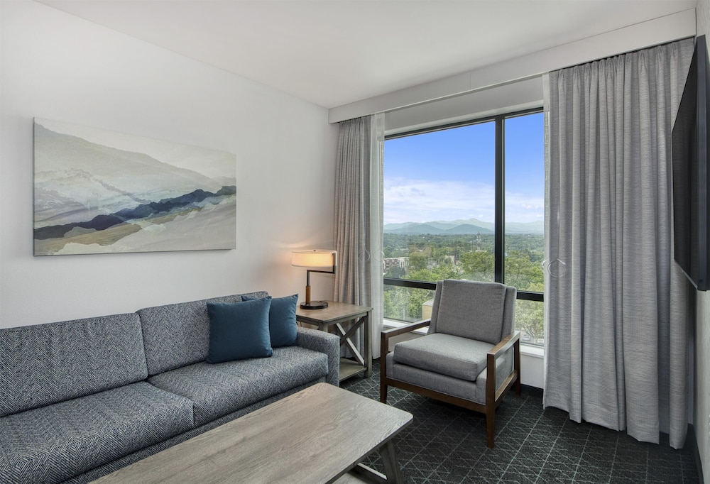 Embassy Suites By Hilton Asheville Downtown - photo 29