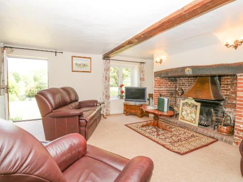 Lyons Green — Swaffham — photo 4