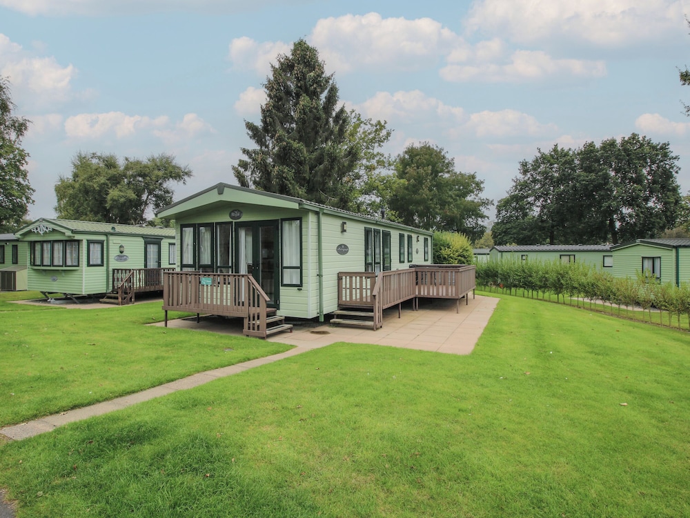 Dove in Leominster, United Kingdom