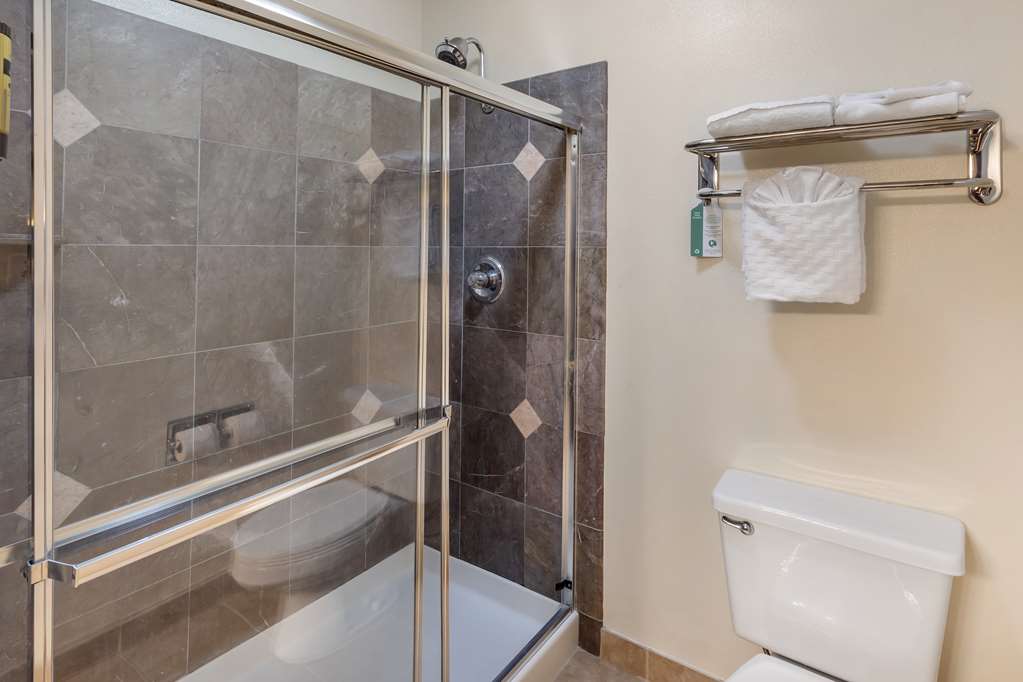 Best Western Plus Orchid Hotel & Suites - photo 33