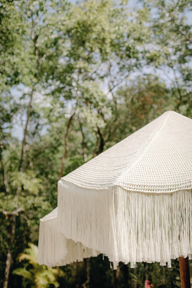 Anand Ecoaldea — Leona Vicario — photo 2