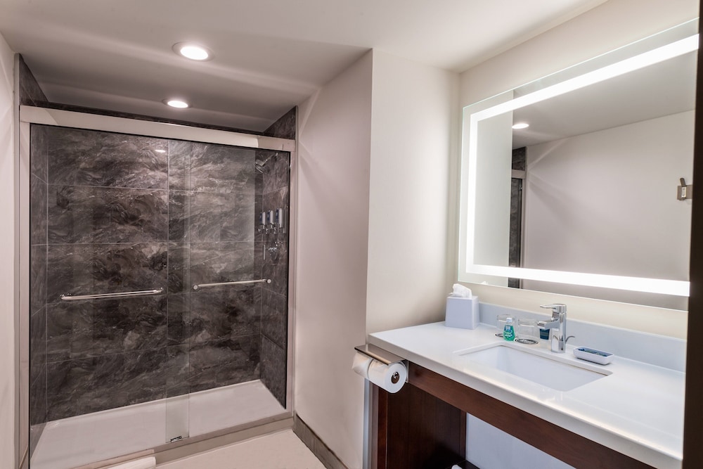 Four Points by Sheraton Atlanta Airport West - photo 14