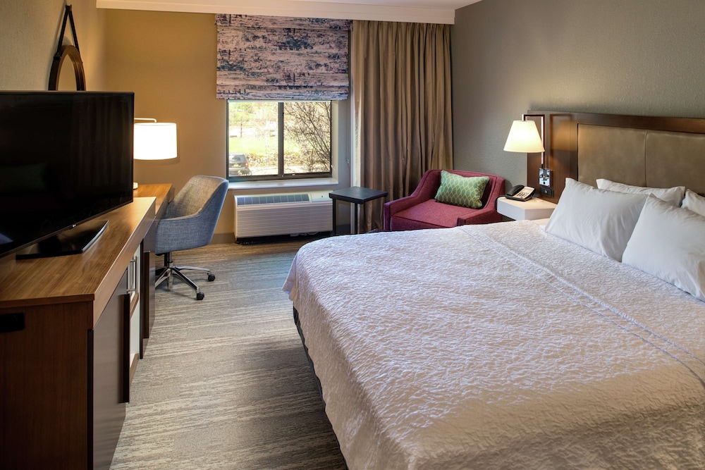 Hampton Inn & Suites Binghamton Vestal - photo 6