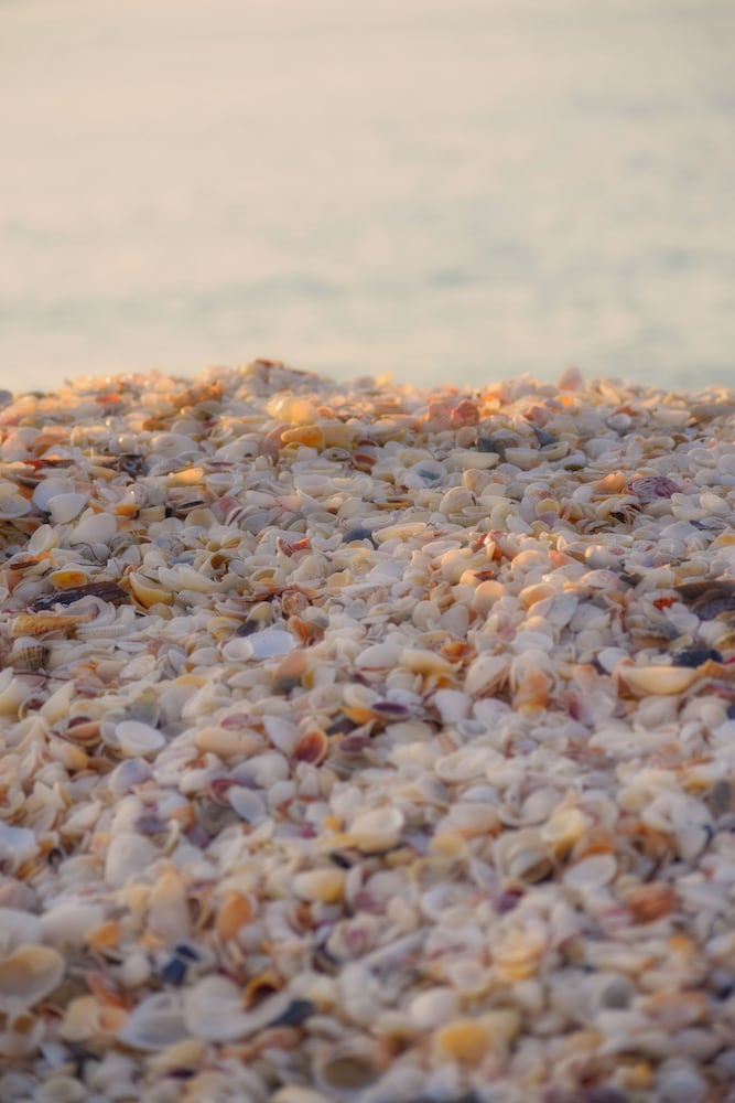 Casey Key Resorts Beachfront - photo 61