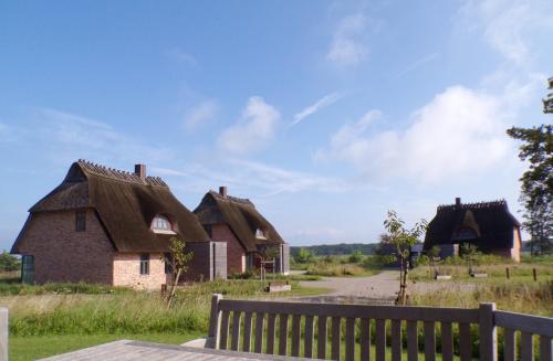 Reetdorf Geltinger Birk Malerhaus Landzunge — Kappeln — photo 2